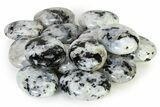 1.7" Polished Rainbow Moonstone Pocket Stone  - Photo 4